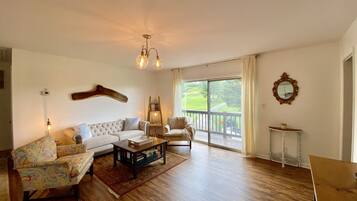 Smart TV, DVD player, music library