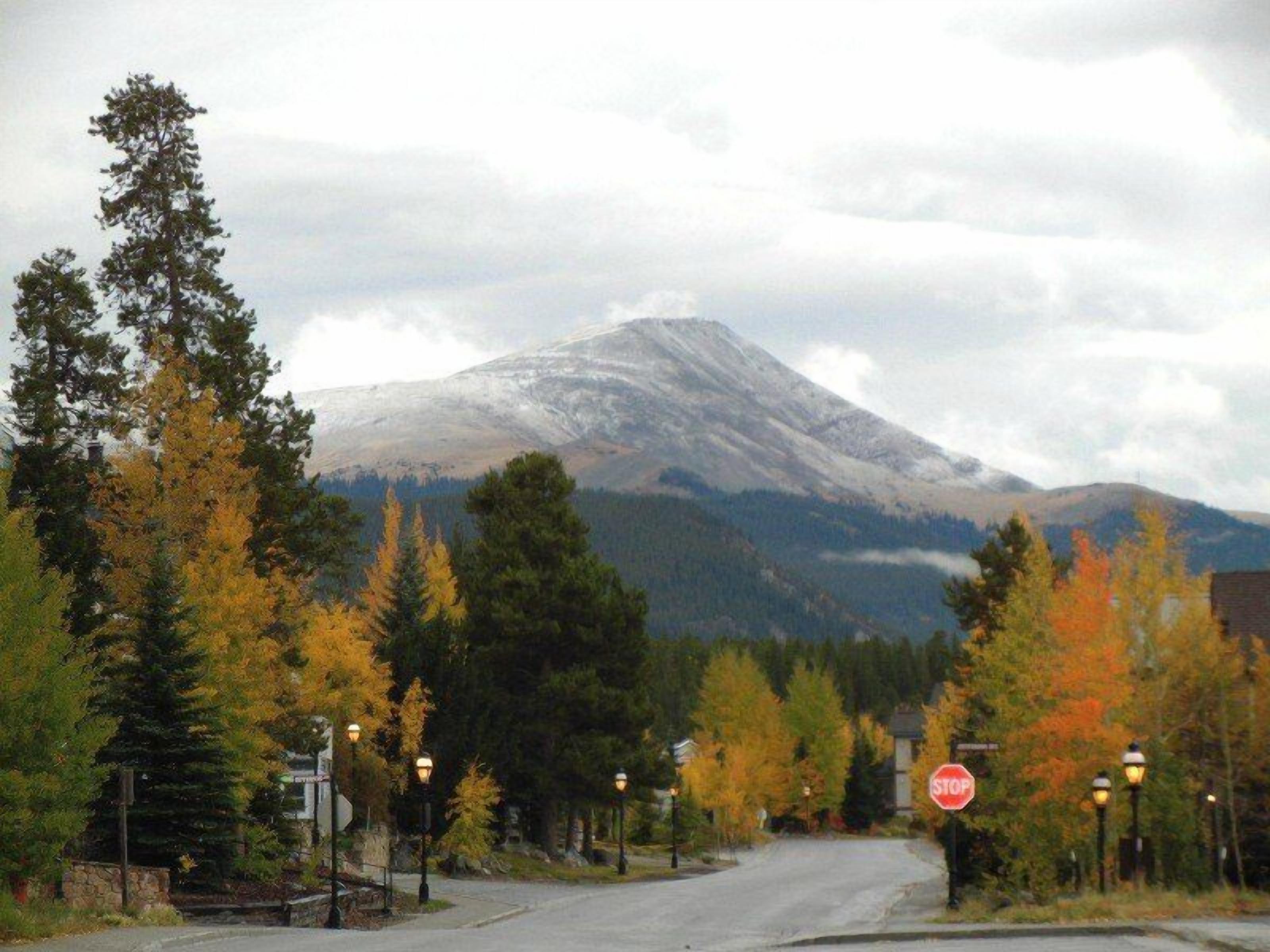 A street with a stop sign, trees, and a mountain in the background.