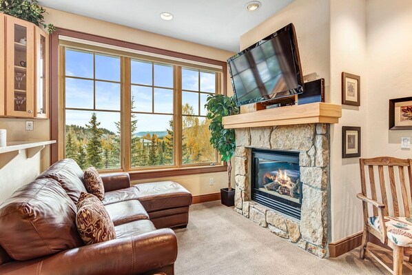 Télévision, cheminée