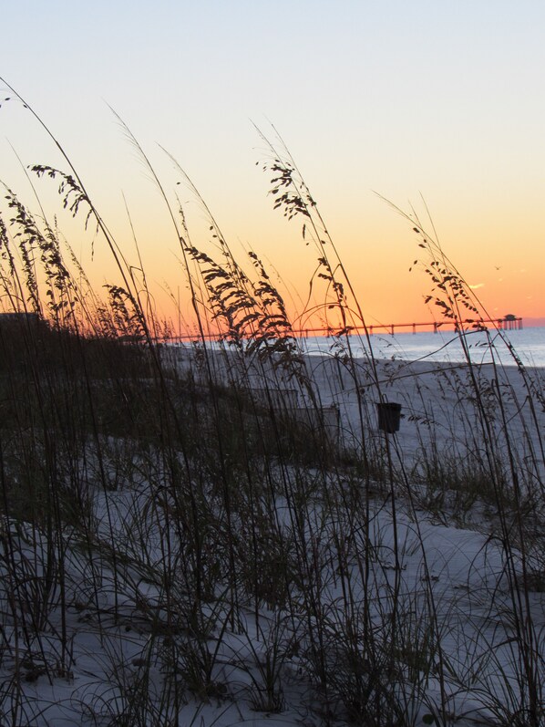 A coastal scene with tall grasses in the foreground and a pier extending into the water in the background. - Beachfront Condo, 10 Steps to the Sand (Fort Walton Beach)