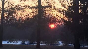 A sunset in a forested area with trees and a visible path.