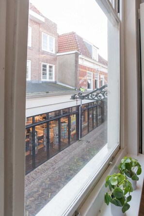 A window view of a brick building with a tiled roof, a metal railing, and a potted plant on the windowsill.