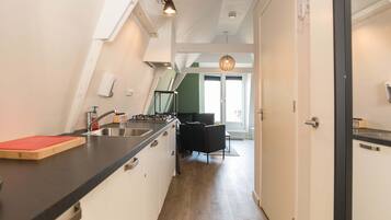 Fridge, stovetop, dishwasher, electric kettle