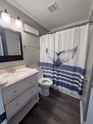 Banheira, secador de cabelo, toalhas de banho 