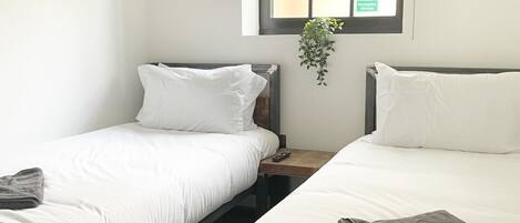 A room with two single beds, a window with a view, and a small table with a plant.