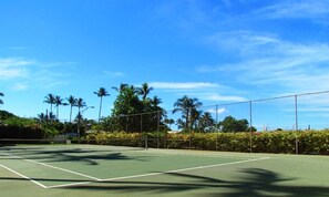 Un court de tennis en plein air, sous un ciel d’un bleu éclatant, entouré de palmiers et de verdure.
