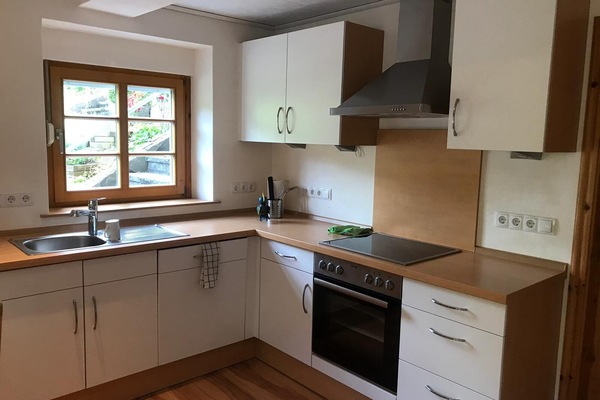 Kühlschrank, Ofen, Herdplatte, Geschirrspüler