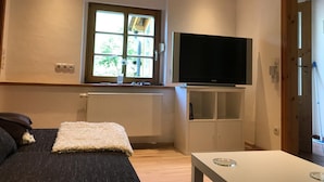 Ein Zimmer mit einer Couch, einem Fernseher auf einem Schrank, einem Fenster mit Blick auf Grünflächen und einer Heizung.