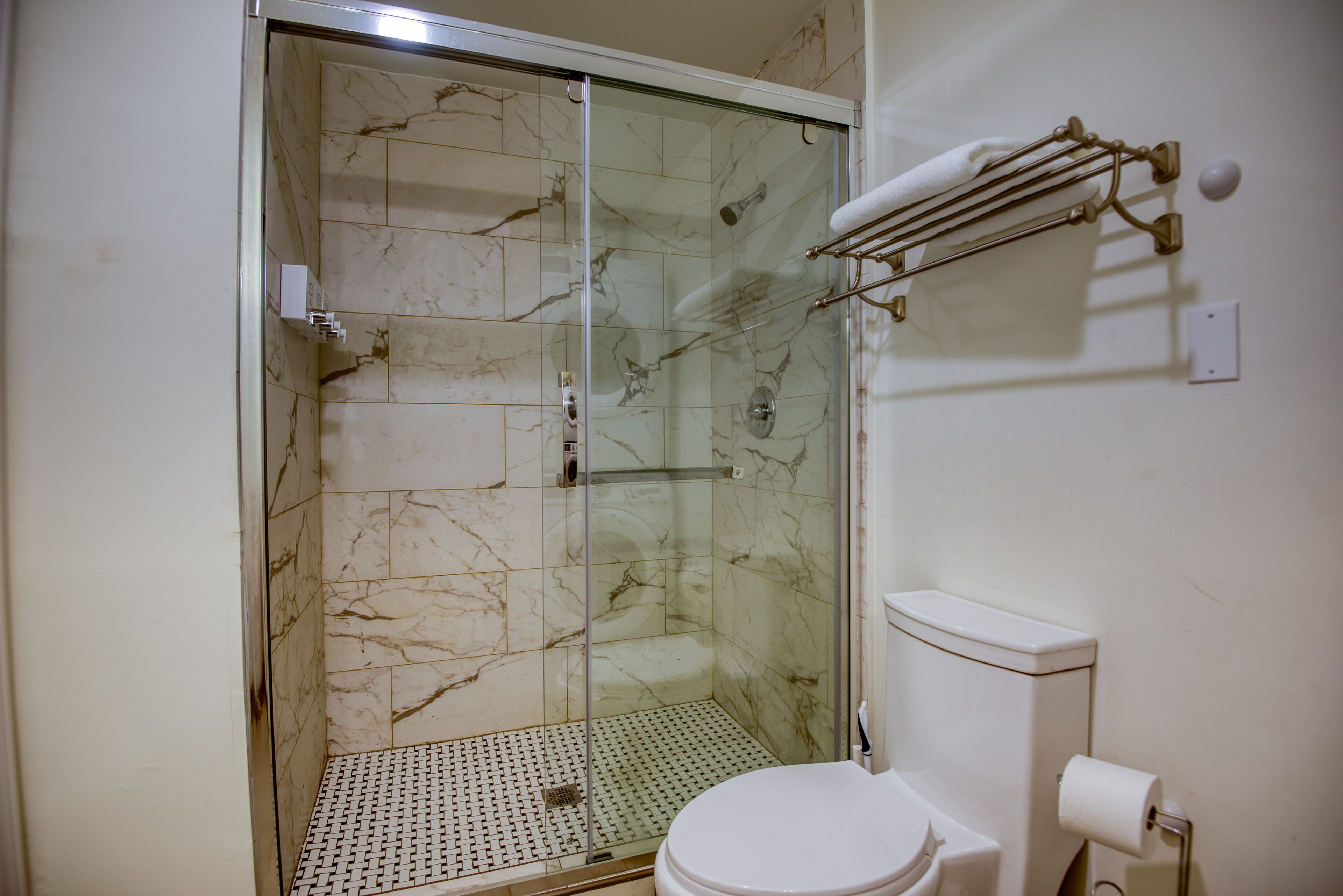 A bathroom with a glass-enclosed shower, a toilet, and a towel rack.