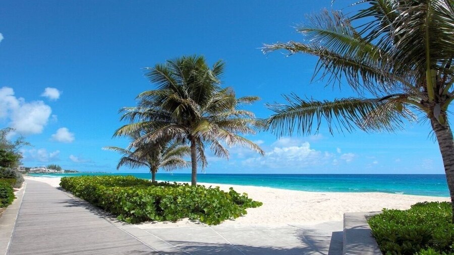 Indramer Condos by Bluescape