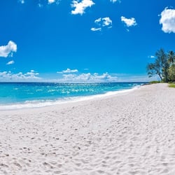 On the beach