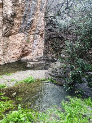 Surrounded by lush greenery, a serene stream flows gently through the rocky terrain.