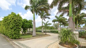 Zona ajardinada con palmeras, un sendero pavimentado y una jardinera grande con una planta.