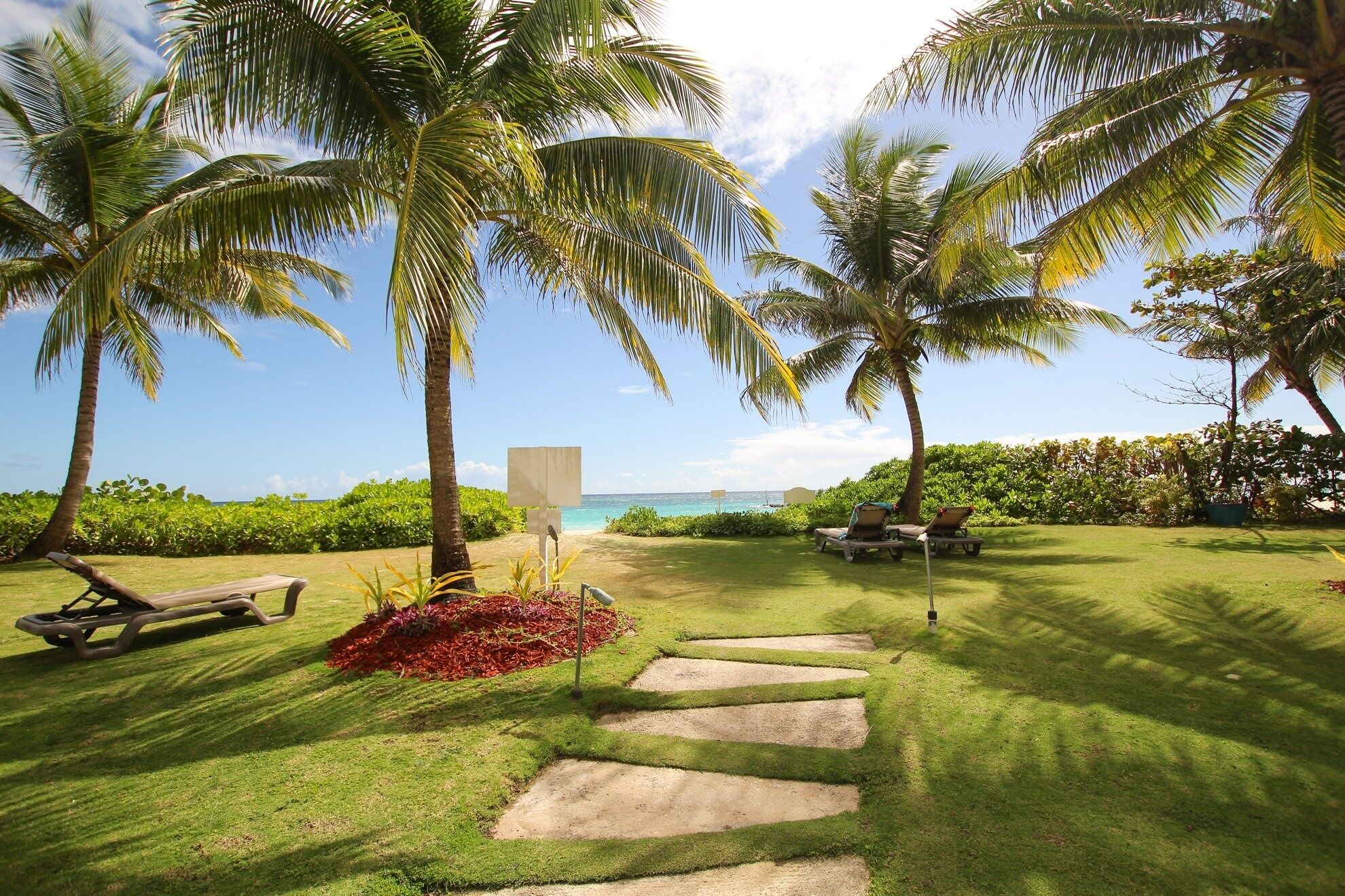 A tropical garden with palm trees, a pathway, and a view of the ocean.