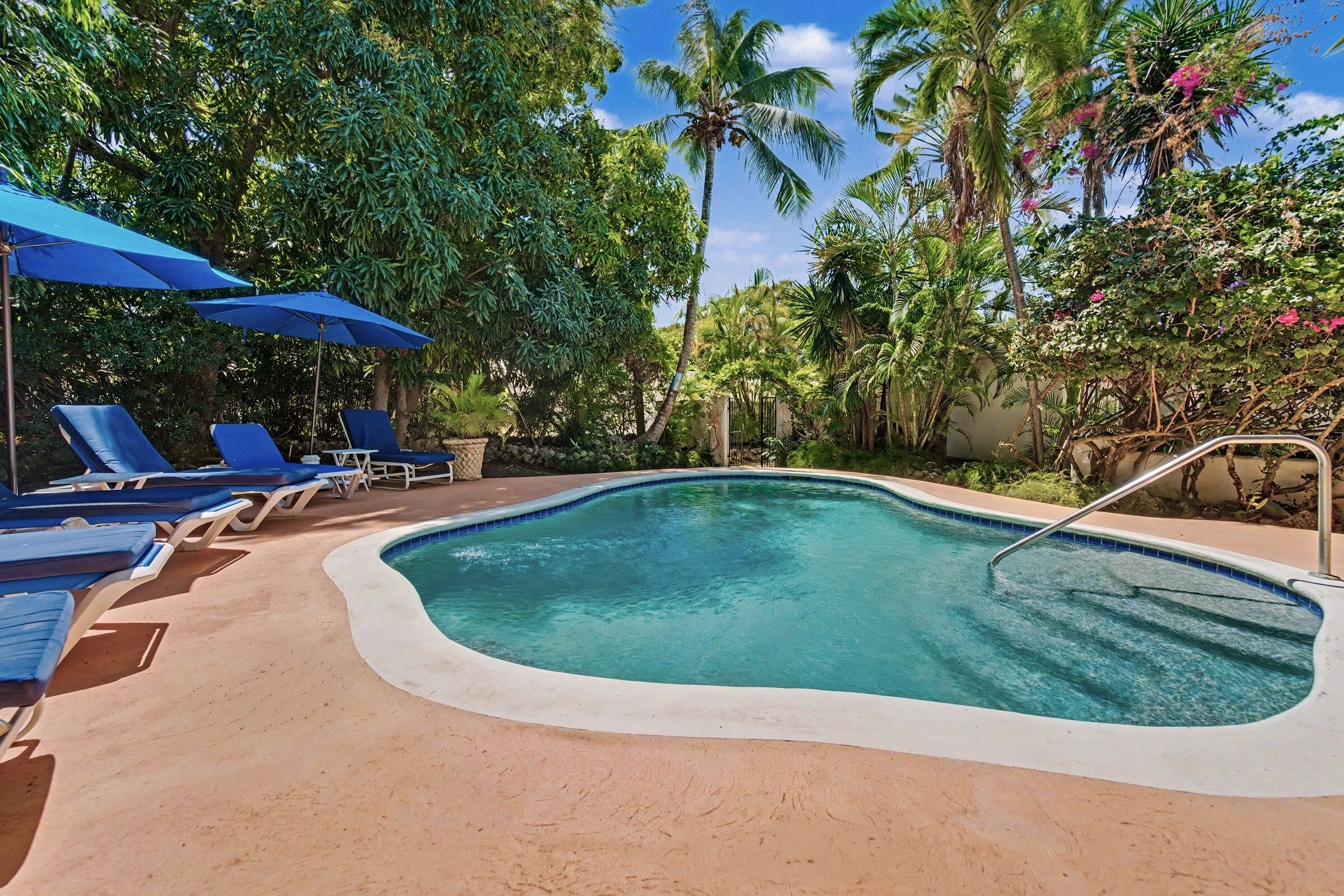 A pool area with lounge chairs and umbrellas, surrounded by lush greenery and palm trees.