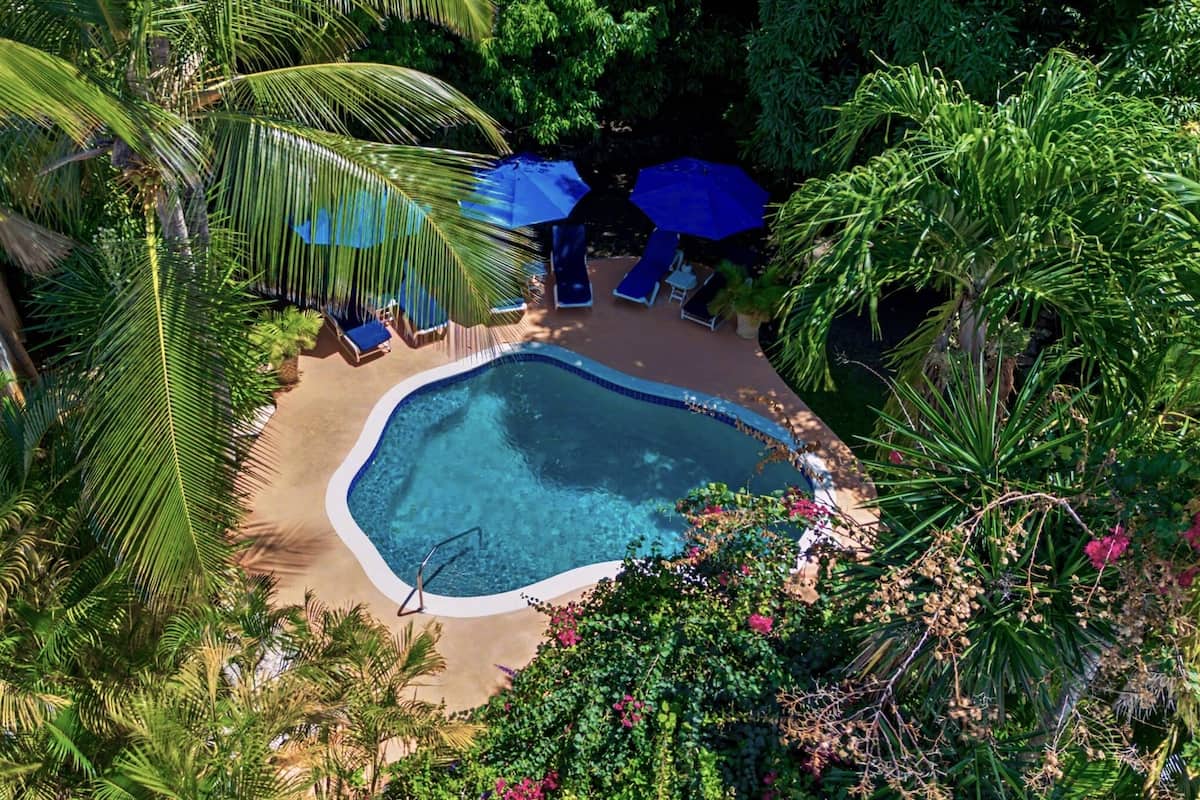 An aerial view of a swimming pool surrounded by lush greenery and palm trees.