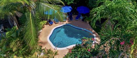 Vista aérea de una piscina rodeada de exuberante vegetación y palmeras.