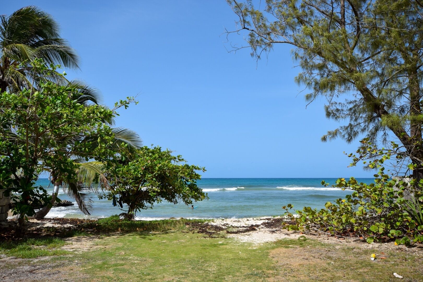 Una playa con aguas azules cristalinas, rodeada de vegetación exuberante y árboles.
