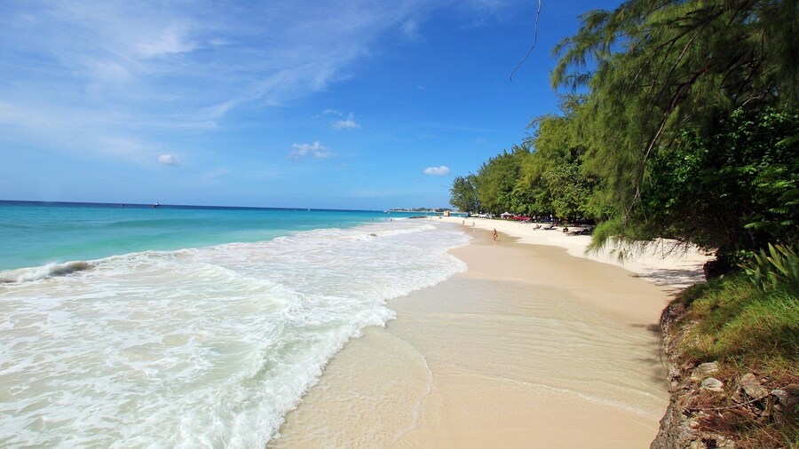 Oceanfront 2-bed Apt With Pool Near Surfing - Rosalie #2 2 Bedroom Apts by Bluescape