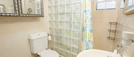 Une salle de bain comprenant des toilettes, une douche à parois de verre, un lavabo et un miroir.