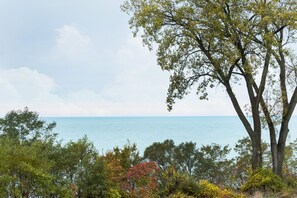 A coastal landscape with a prominent tree and dense foliage in the foreground, leading to a view of the sea. - Cozy Cottage with view of Lake Michigan (St. Joseph)
