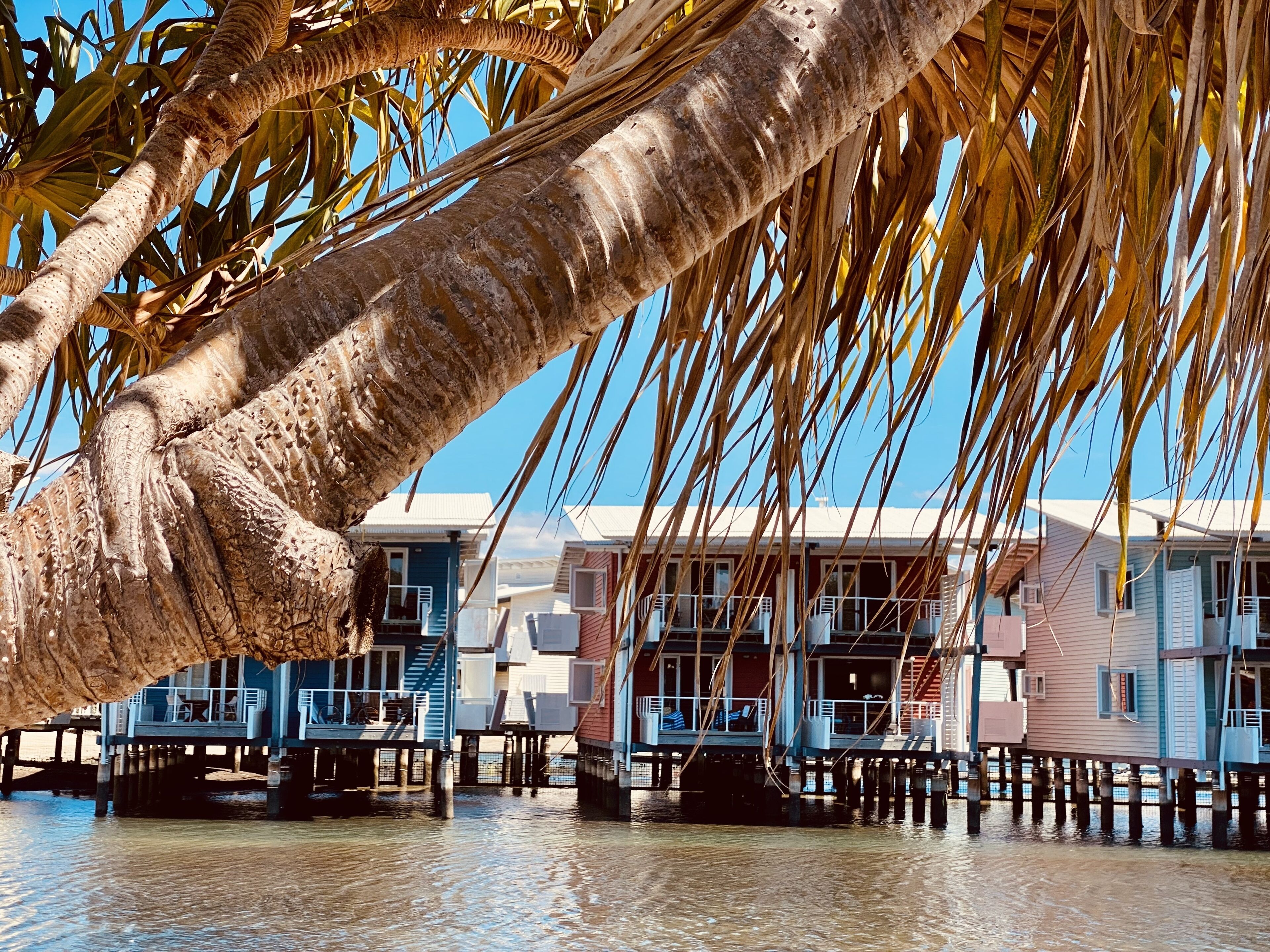 LAGOON VIEW - STUDIO APARTMENT – COURAN COVE 