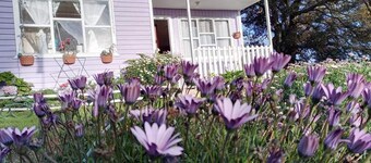 Casa Chicua... a place to rest.