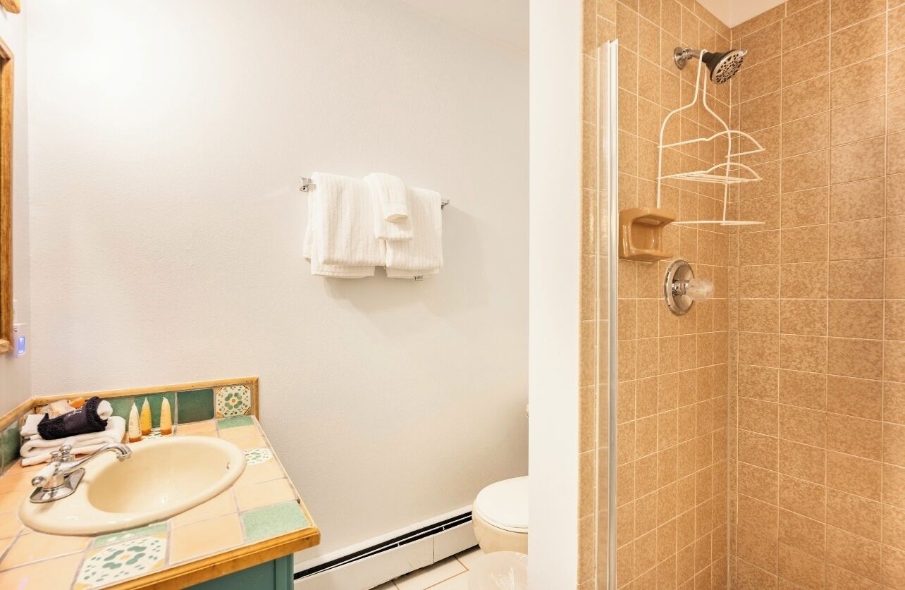 A bathroom with a sink, toilet, and shower.