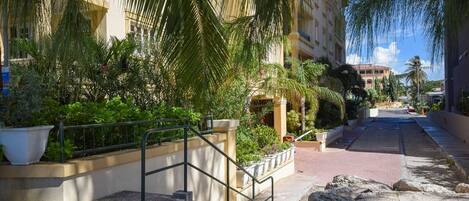 A hotel entrance with a staircase leading to the lobby, surrounded by lush greenery and palm trees.