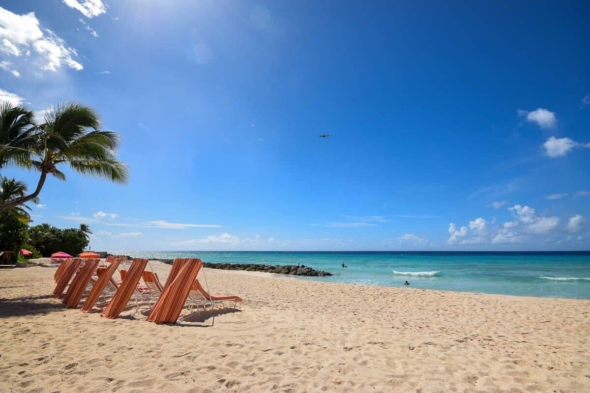 A beach with rows of striped beach chairs, palm trees, and a clear blue sky.