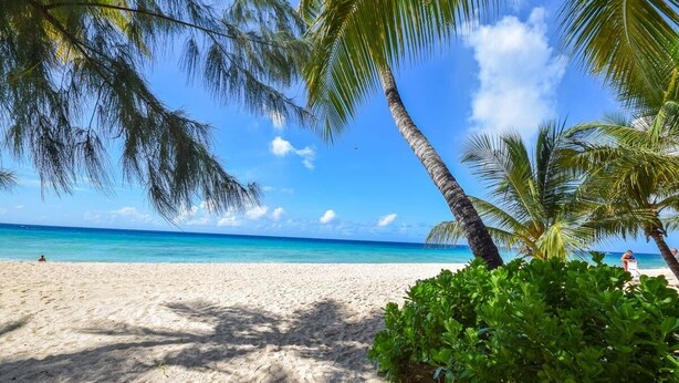 A beach with palm trees and clear blue water. - Modern 2-bed Apt Near Beach In St. Lawrence Gap 2 Bedroom Apts by Bluescape (St. Lawrence Gap)