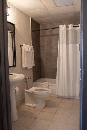 Bathroom - Americas Best Value Inn-detroit/dearborn (Dearborn)