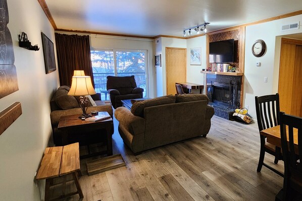 TV, fireplace, books