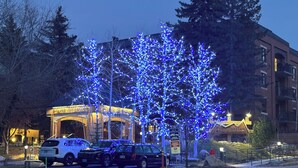 Un parcheggio con l'ingresso di un edificio, un albero illuminato con luci blu e un segnale che indica il controllo del parcheggio.