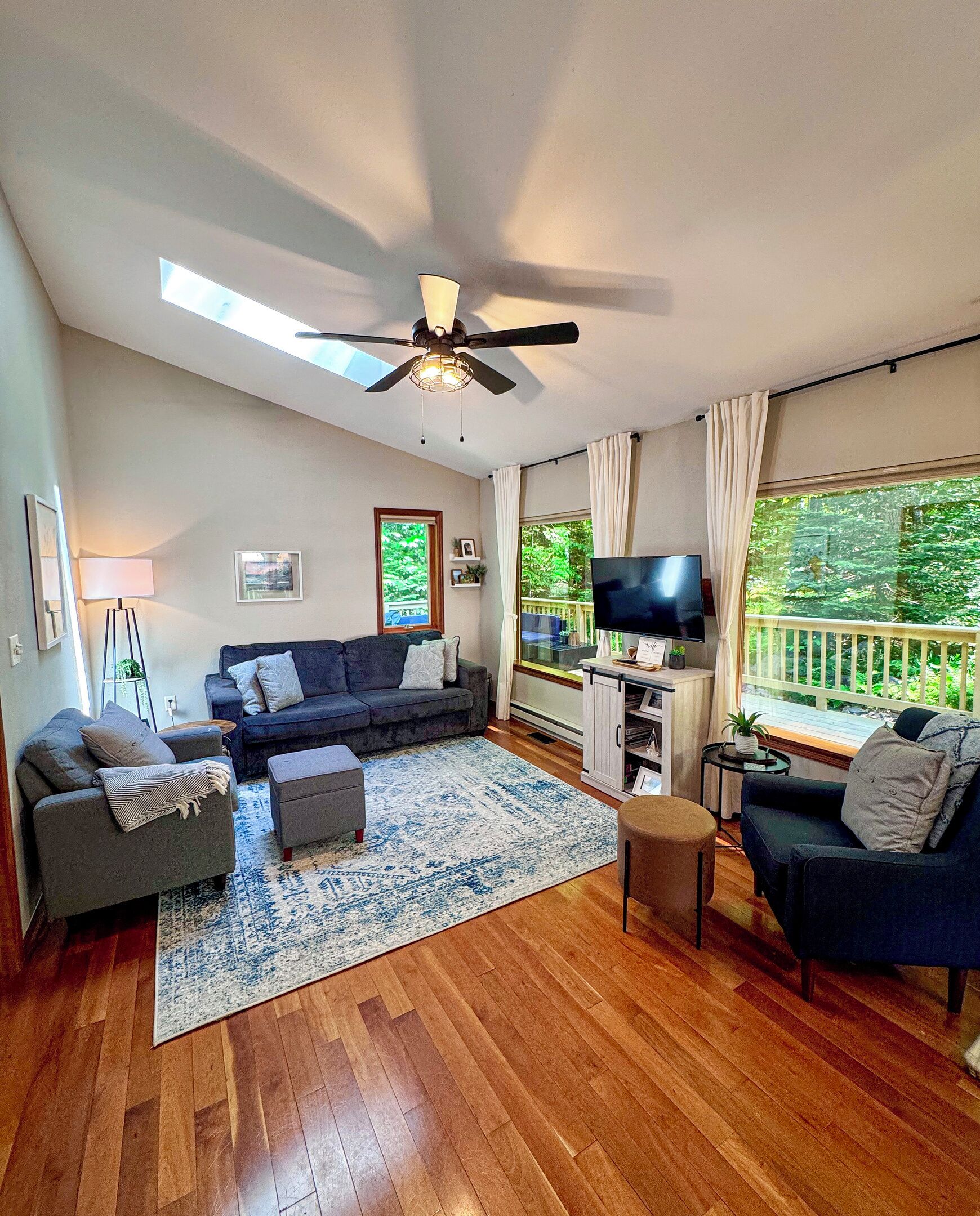 Smart TV, fireplace, Netflix, books