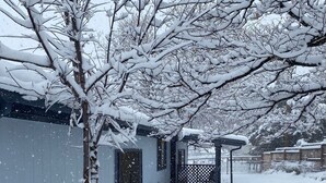 Un espace extérieur enneigé, avec un chemin menant à une porte, entouré d’arbres chargés de neige et d’un bâtiment délimité par une clôture.