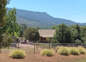 Property grounds - Make Memories in this Comfy Two Bedroom Two Bath Home (Pine)