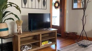 A living room with a TV on a wooden stand, a blue rug, and a plant.