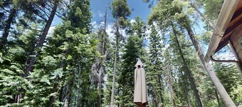 Vintage Cottage w/ Private Hot Tub, Fireplace & Deck - Walk to the Lake, Dogs OK