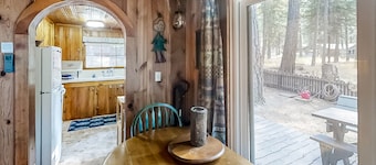 Woodland Cabin w/ Fenced Backyard, Deck, Front Porch & WiFi - Dogs Welcome