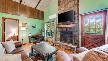 TV, fireplace, books