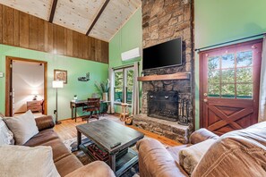 TV, fireplace, books