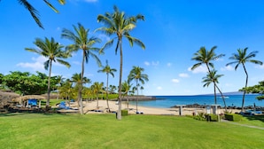 A tropical beach setting with palm trees, a clear blue sky, and a sandy beach area.