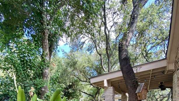A garden area with potted plants, a wooden sign with motivational phrases, and a covered patio area. - Executive Housing — Medical • Corporate • Projects (San Antonio)