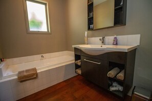 Bathtub, hair dryer, toilet paper