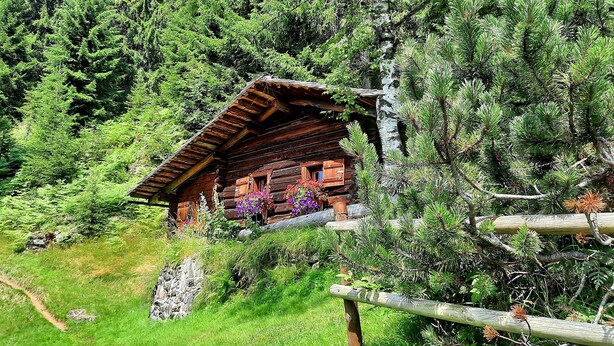 Une cabane en bois entourée d’une forêt dense, avec un sentier bien tracé qui y mène.