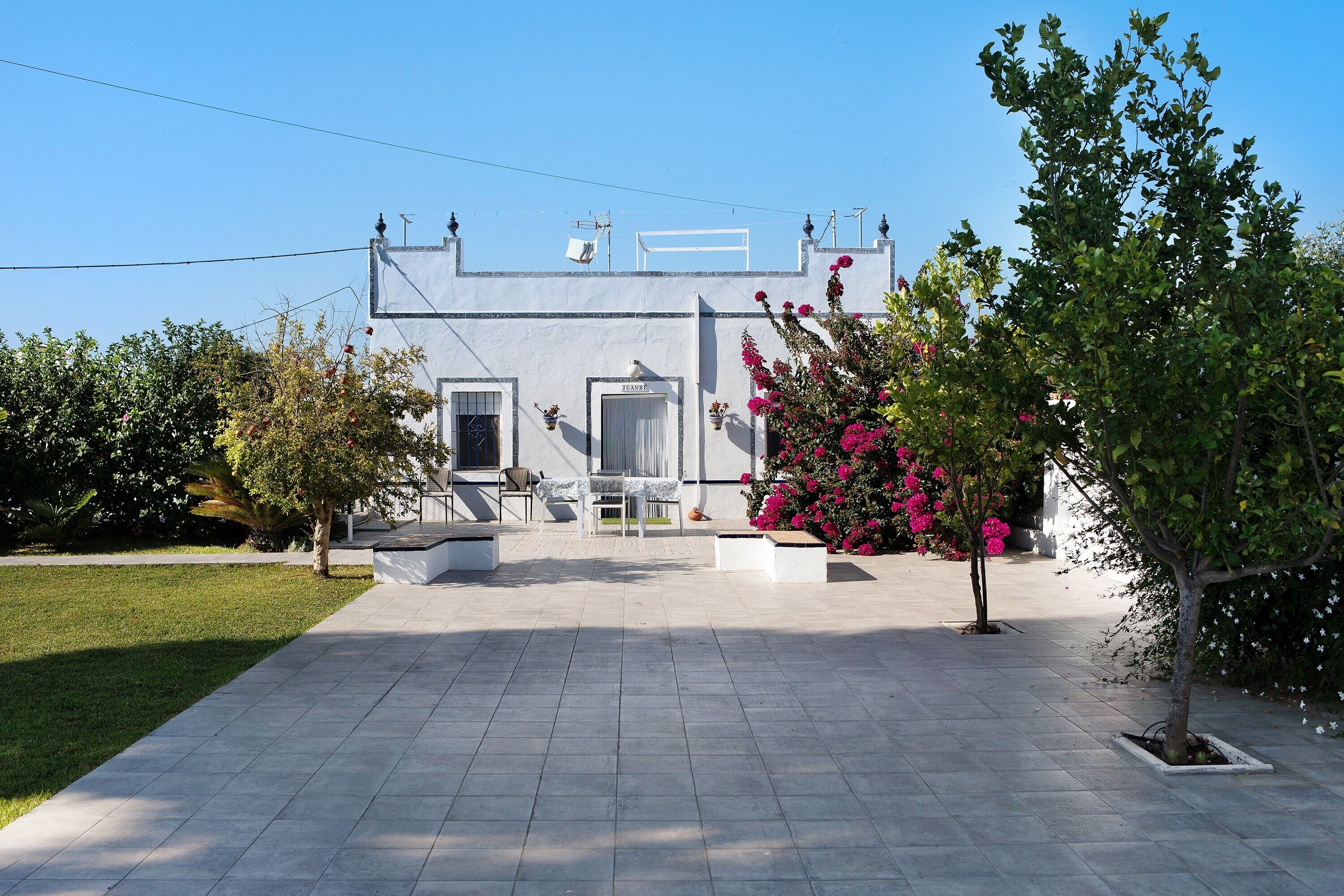 Terras