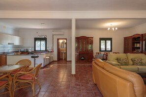 TV, fireplace, DVD player, stereo - Villa Los Pinos with Pool, Wi-Fi, A/C, Terrace & Garden (Marchena)