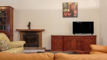 Una sala de estar con chimenea, televisor y muebles de madera.