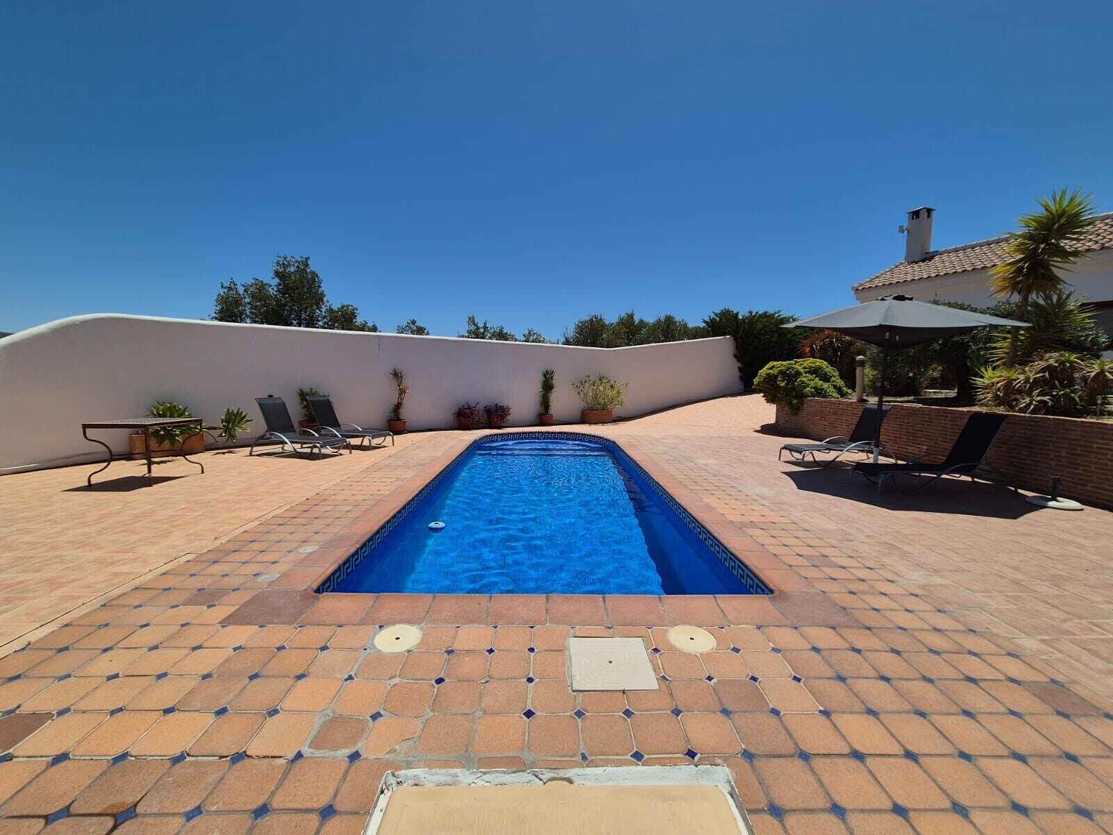 Una piscina rectangular con solárium azulejado, rodeada de sillas de descanso y plantas en macetas.